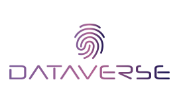 Dataverse Data Egineering logo